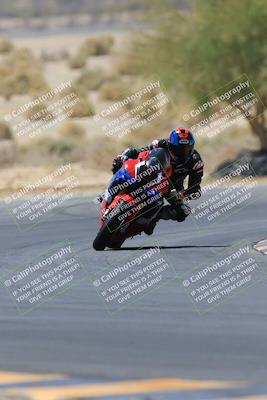 media/May-14-2023-SoCal Trackdays (Sun) [[024eb53b40]]/Turn 5 Tree of Life (1125am)/